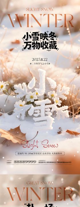 地产小雪大雪大字系列海报