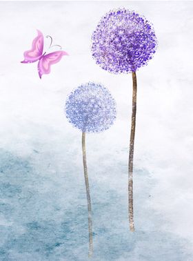 蒲公英