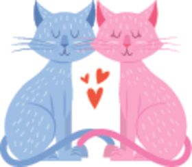 宠物猫