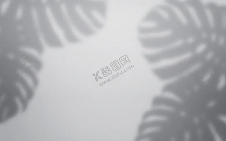 影子素材窗户光影窗户影子叶的阴剪绿植