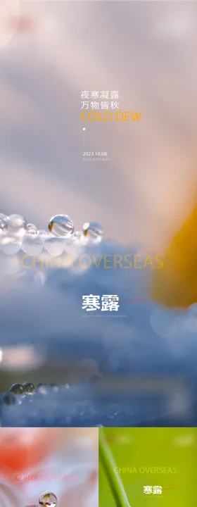 地产寒露节气海报