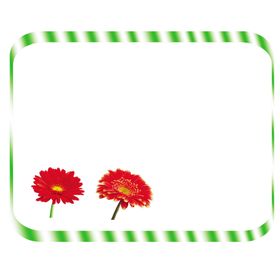 边框相框背景流行自然古典花纹