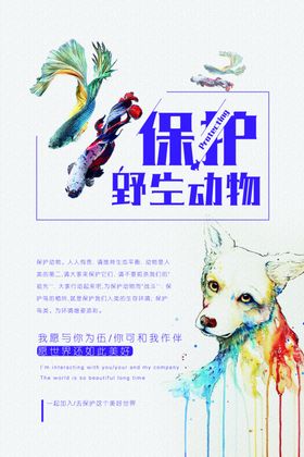 保护野生动物