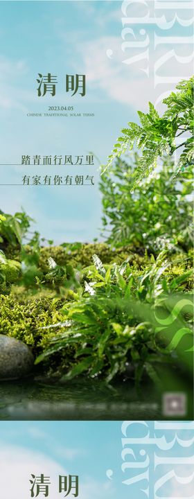 地产清明春分谷雨24节气海报