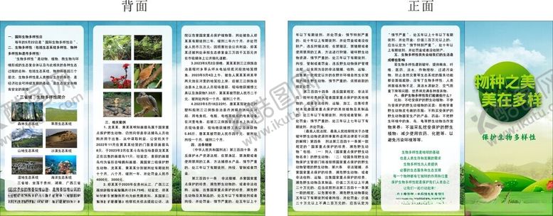 编号：46767102260551386958【酷图网】源文件下载-物种之美