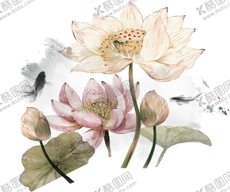 编号：32054804210252442467【酷图网】源文件下载-水墨荷花