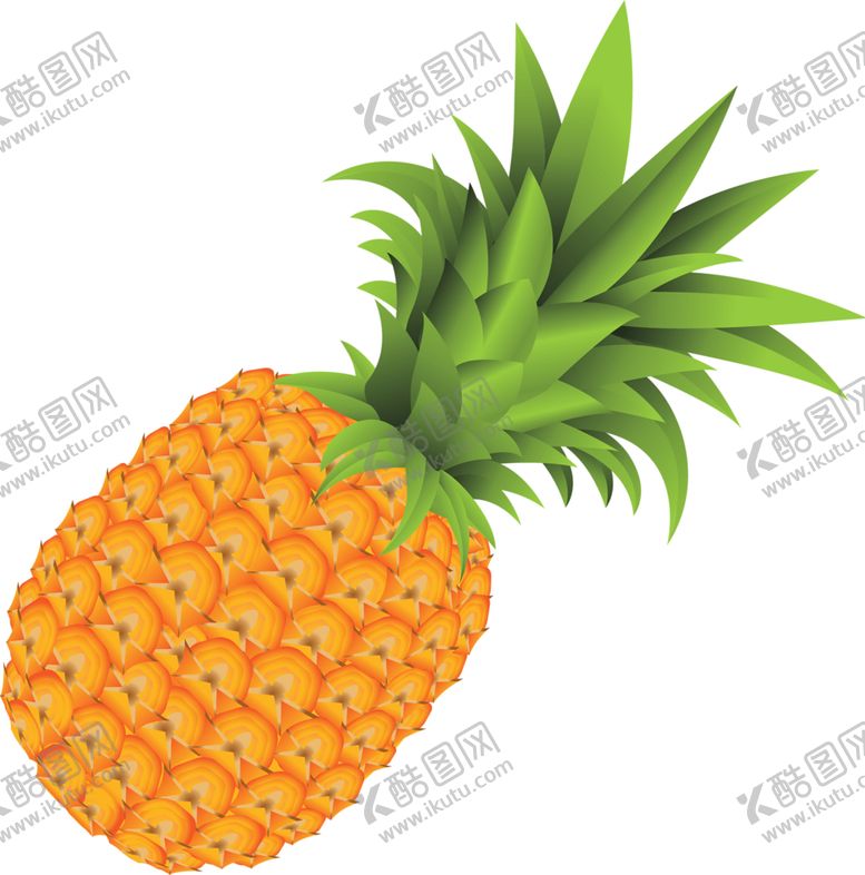 编号：60000209290036262382【酷图网】源文件下载-水果