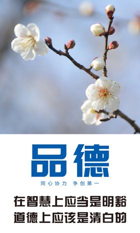 企业励志宣传