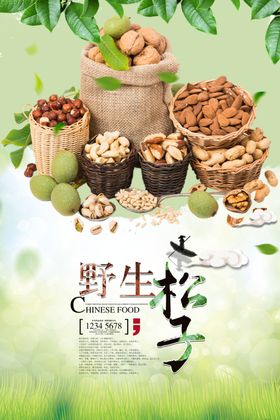 松子美食海报