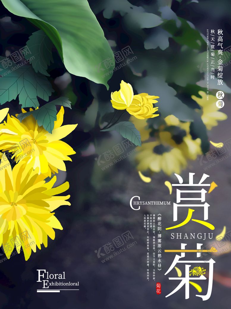 编号：84369509282302216283【酷图网】源文件下载-赏菊