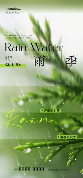 雨水节气海报