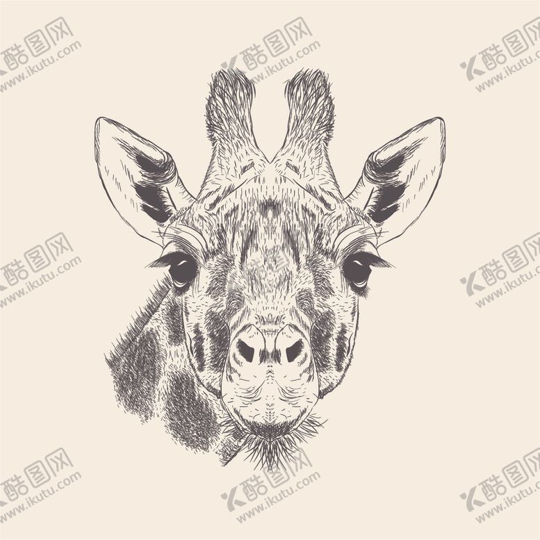 编号：37517810051620172482【酷图网】源文件下载-动物铅笔画