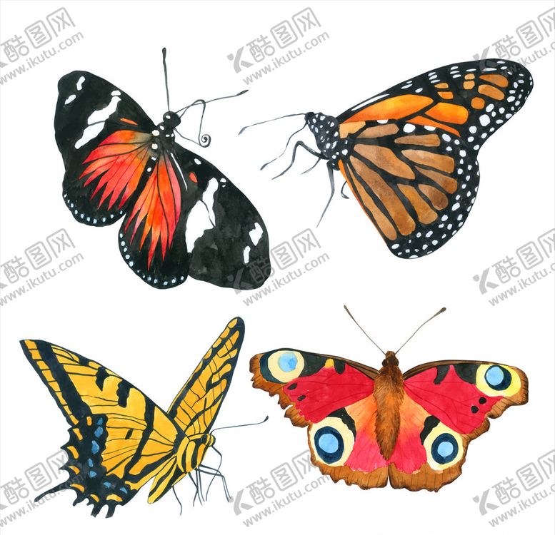 编号：34167210261236376602【酷图网】源文件下载-蝴蝶