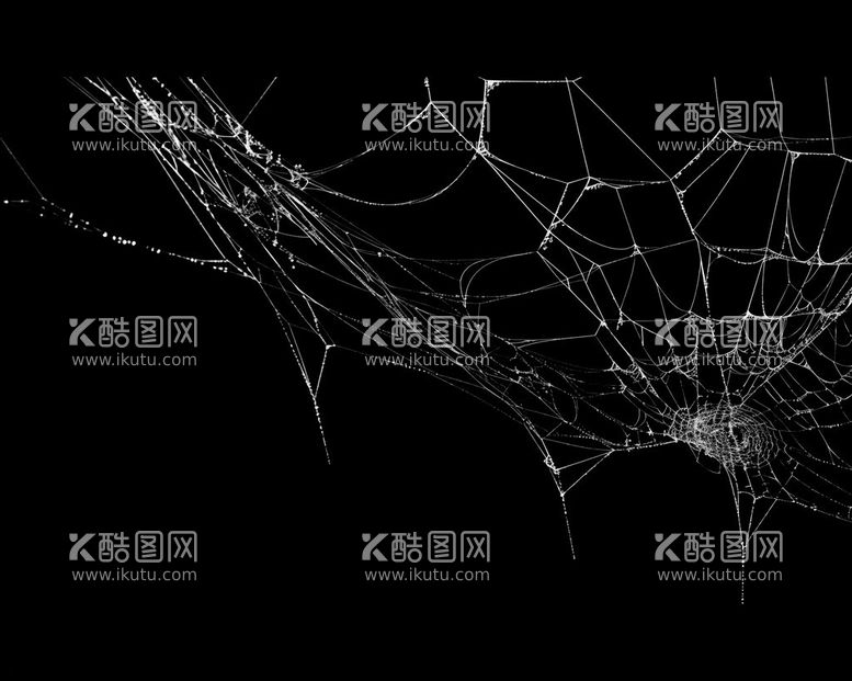 编号：23427511250305289685【酷图网】源文件下载-蜘蛛网