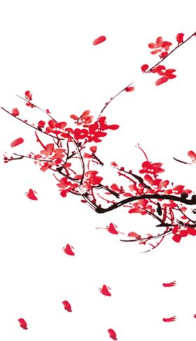 梅花装饰素材