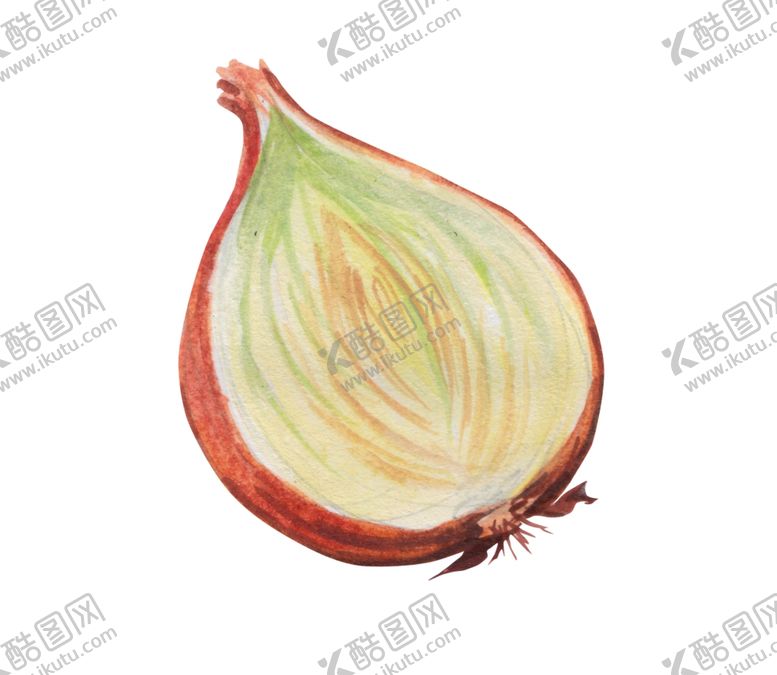 编号：74489109241150562770【酷图网】源文件下载-蔬菜