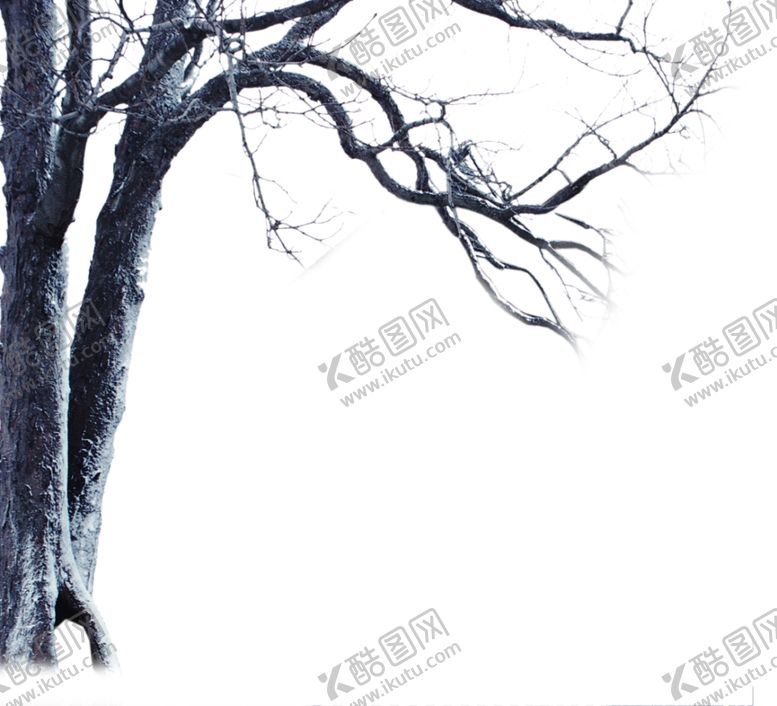 编号：51494209242332051603【酷图网】源文件下载-冬天挂角树