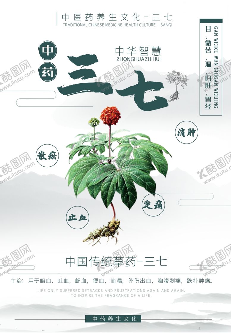 编号：61001106241557589709【酷图网】源文件下载-三七中药药材宣传海报素材