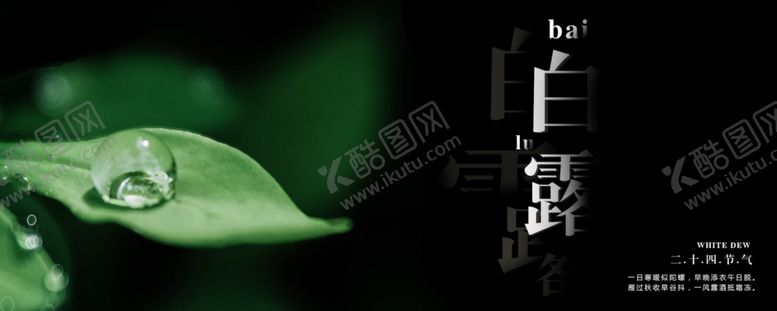 编号：82341009200217004136【酷图网】源文件下载-白露海报