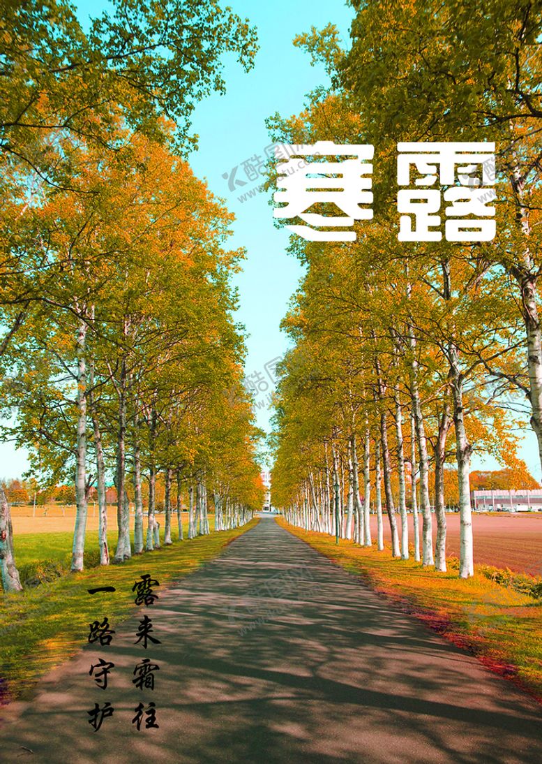 编号：84370109141454495476【酷图网】源文件下载-树林马路野外