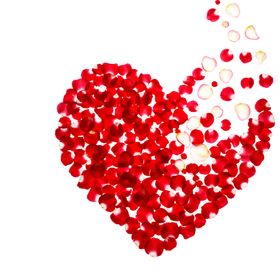 玫瑰花装饰素材