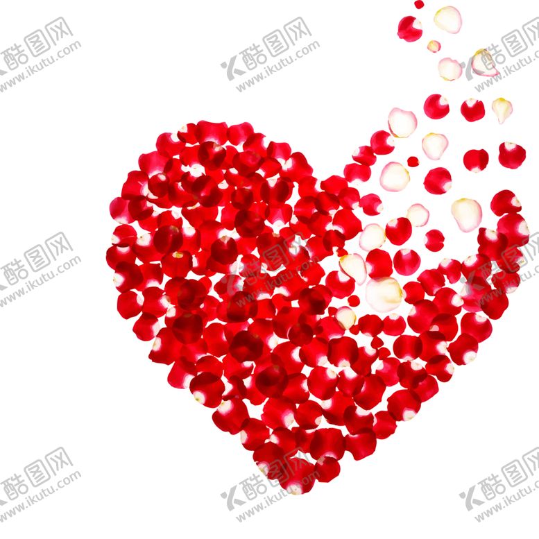 编号：17724910090554424942【酷图网】源文件下载-玫瑰花装饰素材