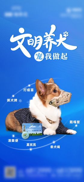 文明养犬