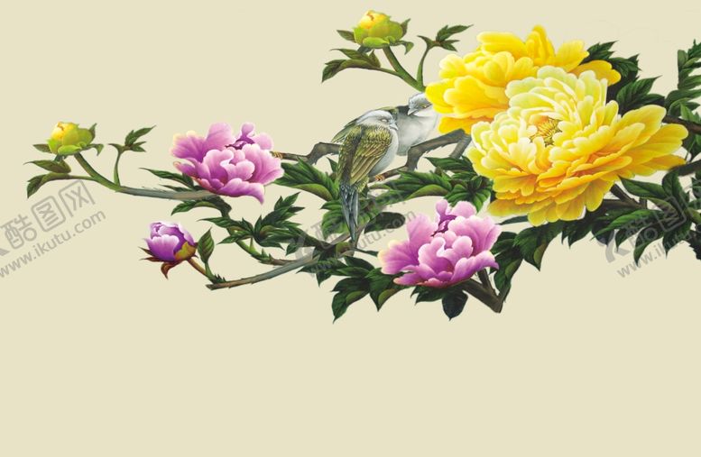 编号：55173910311420447930【酷图网】源文件下载-牡丹花