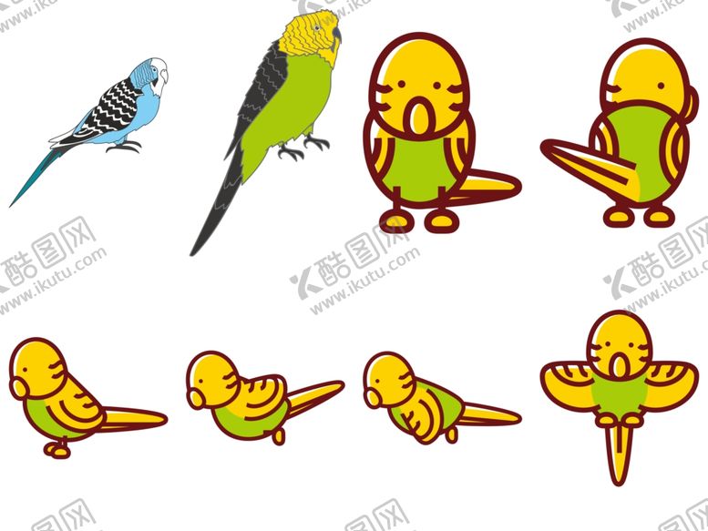 编号：66001706260435296634【酷图网】源文件下载-鹦鹉