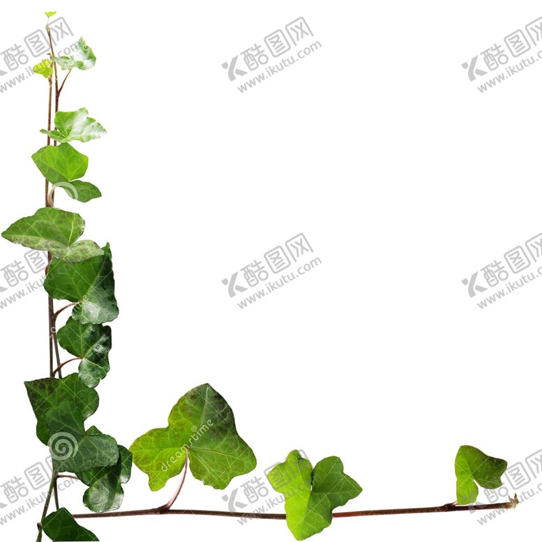 编号：96196210272015499734【酷图网】源文件下载-花边素材