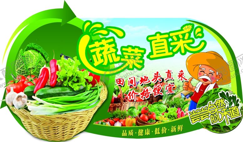 编号：70125406272356123569【酷图网】源文件下载-放心蔬菜