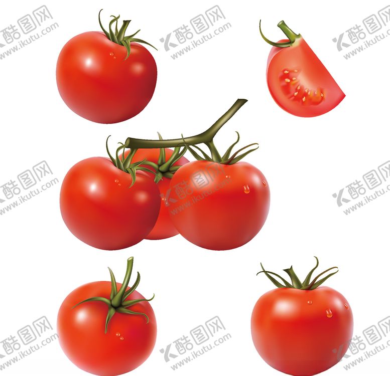 编号：11515410081938132239【酷图网】源文件下载-西红柿矢量图