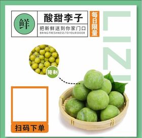 酸甜李子水果产品