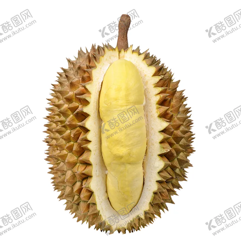 编号：45170609150555310298【酷图网】源文件下载-新鲜香甜水果美味榴莲