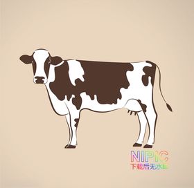 奶牛