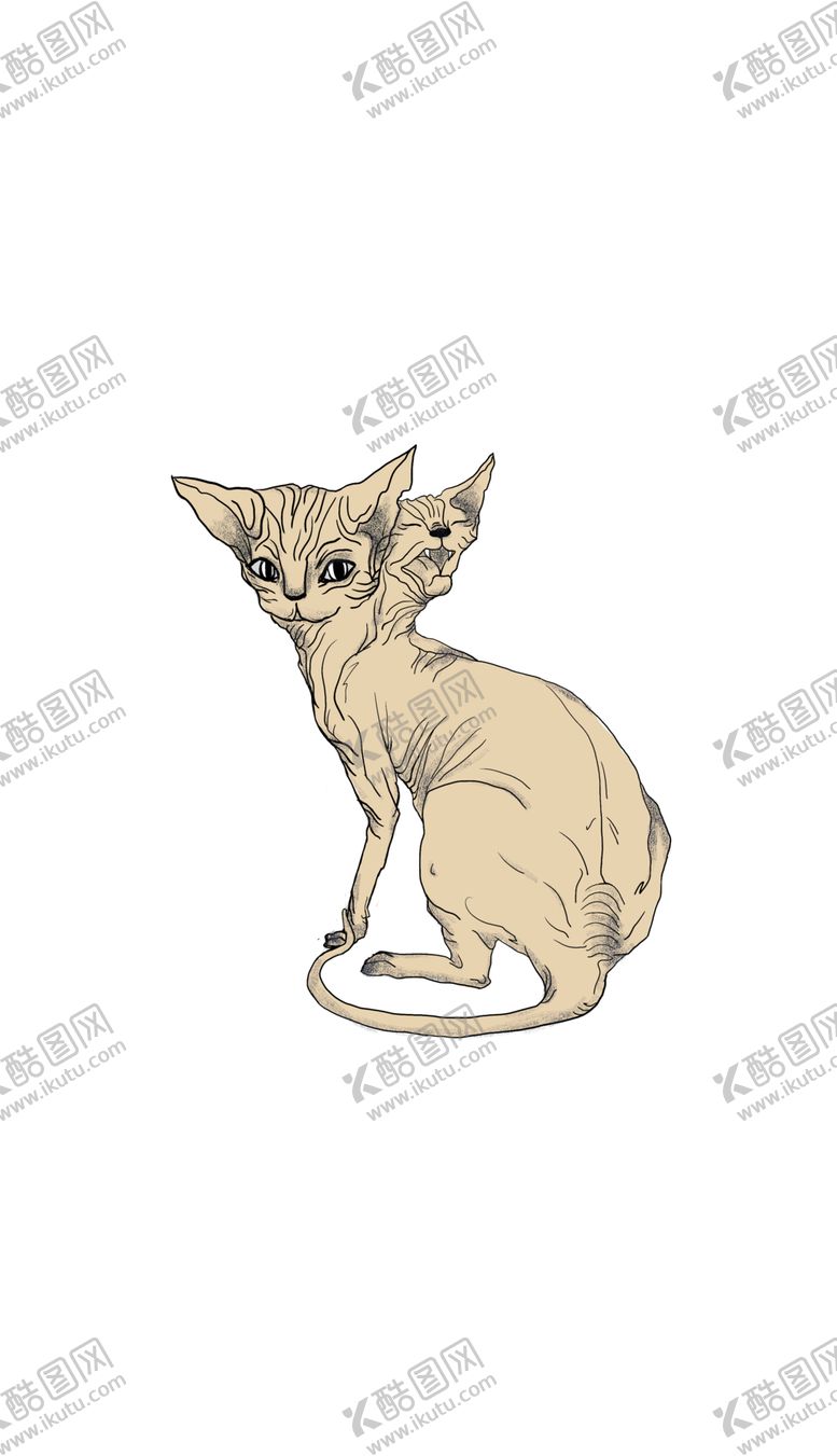 编号：73189109191605211627【酷图网】源文件下载-怪诞浮世绘风格双头无毛猫