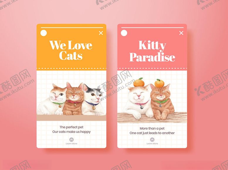 编号：36246411021101292436【酷图网】源文件下载-可爱猫咪