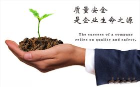 企业文化发芽团队合作墙精益求精