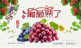 葡萄采摘园海报