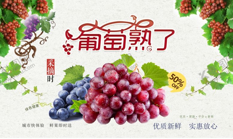 编号：43380111011539451604【酷图网】源文件下载-葡萄采摘园海报