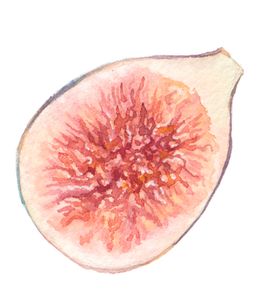 花卉