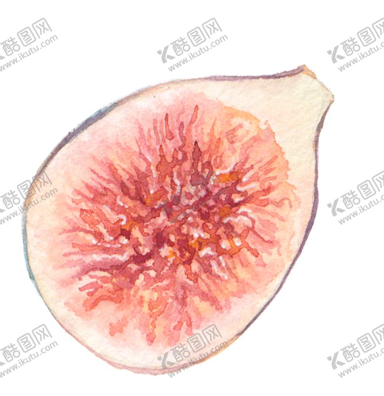 编号：80192710131120401614【酷图网】源文件下载-花卉