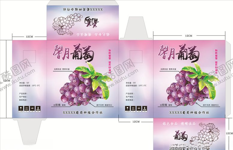编号：57102009272253331692【酷图网】源文件下载-葡萄盒