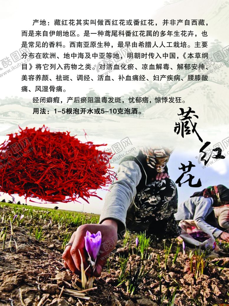 编号：35225307062137205603【酷图网】源文件下载-藏红花