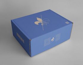纸箱快递盒样机