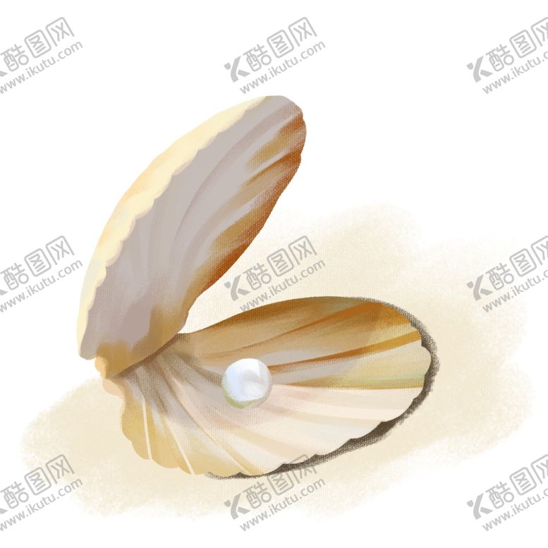 编号：73392309240201003849【酷图网】源文件下载-贝壳