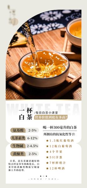 白茶日签小知识系列