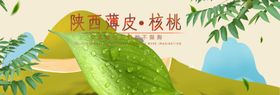 陕西薄皮核桃