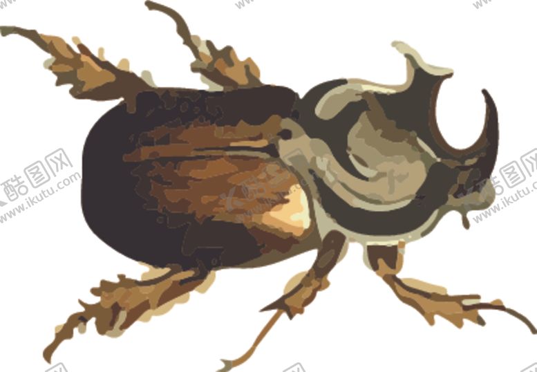 编号：19319810122029067394【酷图网】源文件下载-牛角虫昆虫插画