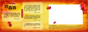 毕业纪念册画册底纹